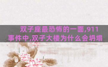 双子座最恐怖的一面,911事件中,双子大楼为什么会坍塌