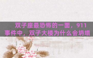 双子座最恐怖的一面，911事件中，双子大楼为什么会坍塌