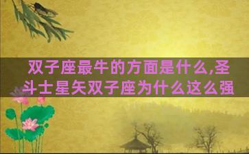 双子座最牛的方面是什么,圣斗士星矢双子座为什么这么强