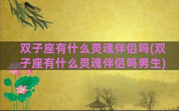 双子座有什么灵魂伴侣吗(双子座有什么灵魂伴侣吗男生)