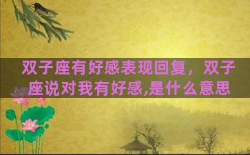 双子座有好感表现回复，双子座说对我有好感,是什么意思