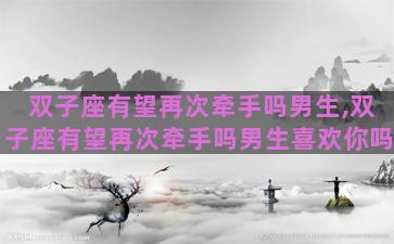 双子座有望再次牵手吗男生,双子座有望再次牵手吗男生喜欢你吗