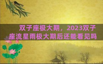 双子座极大期，2023双子座流星雨极大期后还能看见吗