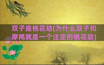 双子座桃花劫(为什么双子和摩羯就是一个注定的桃花劫)