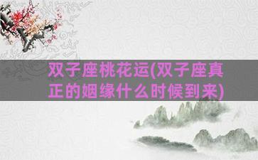 双子座桃花运(双子座真正的姻缘什么时候到来)