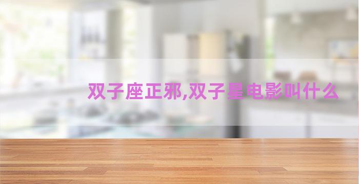 双子座正邪,双子星电影叫什么
