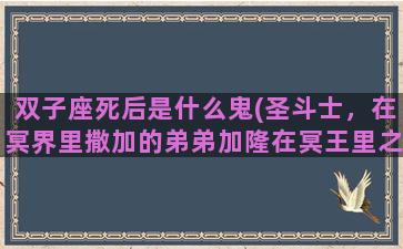 双子座死后是什么鬼(圣斗士，在冥界里撒加的弟弟加隆在冥王里之后怎么没出来死了也没放出来他是怎么死的)