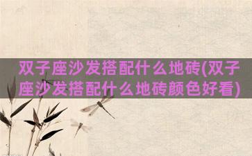 双子座沙发搭配什么地砖(双子座沙发搭配什么地砖颜色好看)
