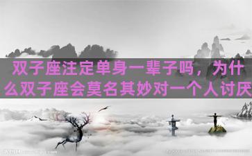 双子座注定单身一辈子吗，为什么双子座会莫名其妙对一个人讨厌