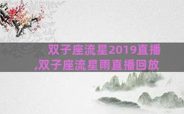 双子座流星2019直播,双子座流星雨直播回放