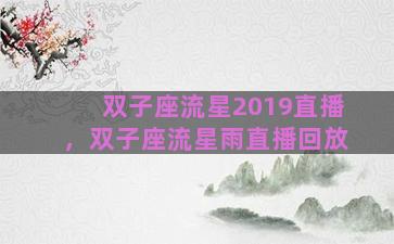 双子座流星2019直播，双子座流星雨直播回放
