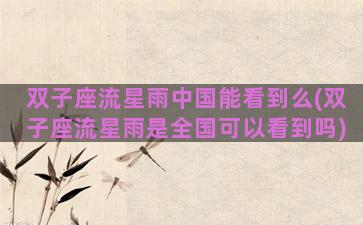 双子座流星雨中国能看到么(双子座流星雨是全国可以看到吗)