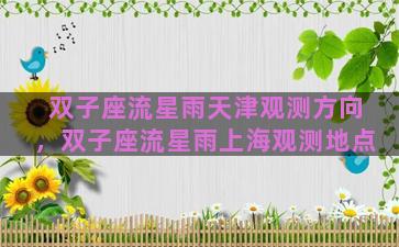双子座流星雨天津观测方向，双子座流星雨上海观测地点