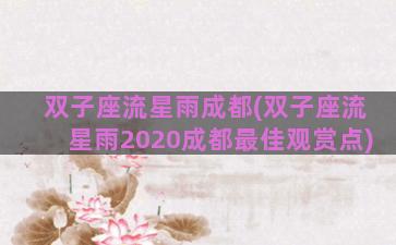 双子座流星雨成都(双子座流星雨2020成都最佳观赏点)
