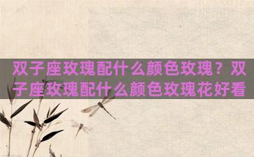 双子座玫瑰配什么颜色玫瑰？双子座玫瑰配什么颜色玫瑰花好看