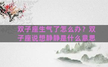 双子座生气了怎么办？双子座说想静静是什么意思