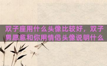 双子座用什么头像比较好，双子男愿意和你用情侣头像说明什么