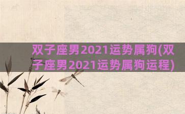 双子座男2021运势属狗(双子座男2021运势属狗运程)