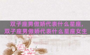 双子座男傲娇代表什么星座,双子座男傲娇代表什么星座女生
