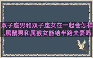 双子座男和双子座女在一起会怎样,属鼠男和属猴女能结半路夫妻吗