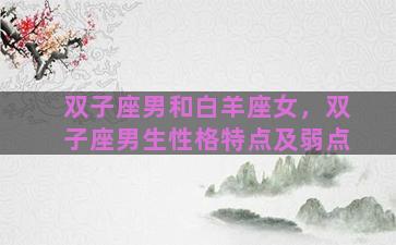 双子座男和白羊座女，双子座男生性格特点及弱点