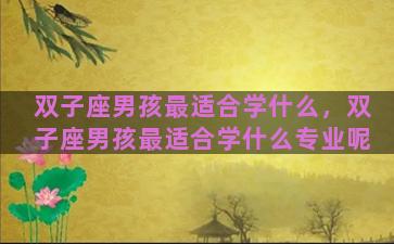 双子座男孩最适合学什么，双子座男孩最适合学什么专业呢
