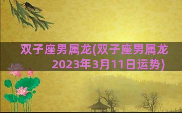 双子座男属龙(双子座男属龙2023年3月11日运势)