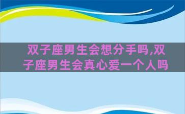 双子座男生会想分手吗,双子座男生会真心爱一个人吗 双子座男生会想分手吗,双子座男生会真心爱一个人吗