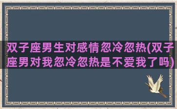 双子座男生对感情忽冷忽热(双子座男对我忽冷忽热是不爱我了吗)