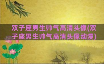 双子座男生帅气高清头像(双子座男生帅气高清头像动漫)