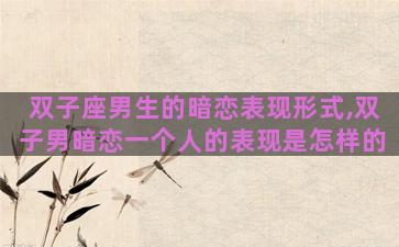 双子座男生的暗恋表现形式,双子男暗恋一个人的表现是怎样的