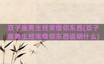 双子座男生经常借你东西(双子座男生经常借你东西说明什么)