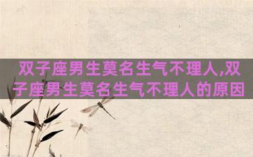 双子座男生莫名生气不理人,双子座男生莫名生气不理人的原因