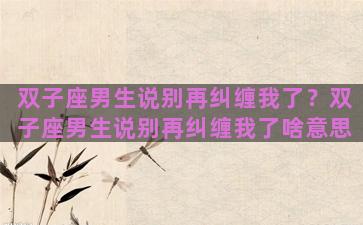 双子座男生说别再纠缠我了？双子座男生说别再纠缠我了啥意思