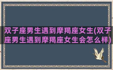 双子座男生遇到摩羯座女生(双子座男生遇到摩羯座女生会怎么样)