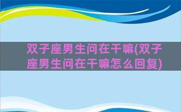 双子座男生问在干嘛(双子座男生问在干嘛怎么回复)