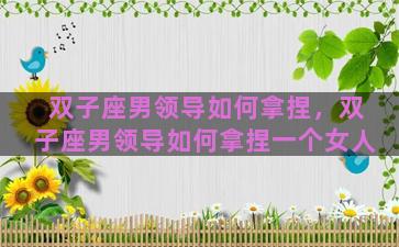 双子座男领导如何拿捏，双子座男领导如何拿捏一个女人