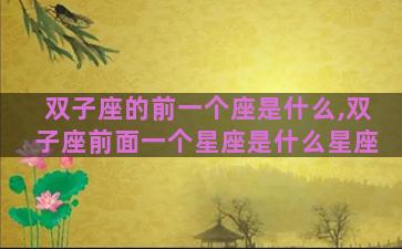 双子座的前一个座是什么,双子座前面一个星座是什么星座