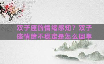 双子座的情绪感知？双子座情绪不稳定是怎么回事