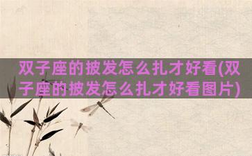 双子座的披发怎么扎才好看(双子座的披发怎么扎才好看图片)