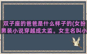 双子座的爸爸是什么样子的(女扮男装小说穿越成太监。女主名叫小双子)