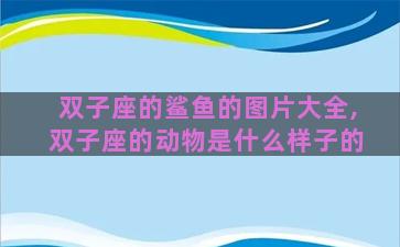 双子座的鲨鱼的图片大全,双子座的动物是什么样子的