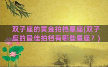 双子座的黄金拍档星座(双子座的最佳拍档有哪些星座？)