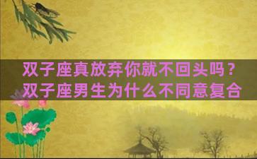 双子座真放弃你就不回头吗？双子座男生为什么不同意复合