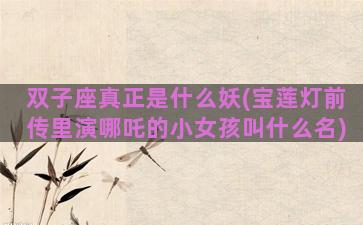 双子座真正是什么妖(宝莲灯前传里演哪吒的小女孩叫什么名)