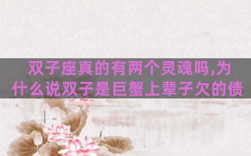 双子座真的有两个灵魂吗,为什么说双子是巨蟹上辈子欠的债