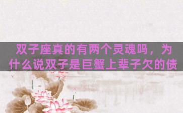 双子座真的有两个灵魂吗，为什么说双子是巨蟹上辈子欠的债