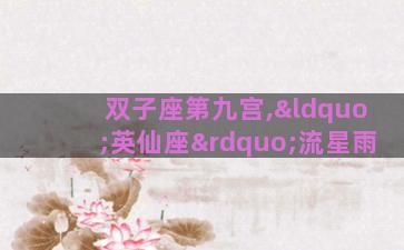 双子座第九宫,“英仙座”流星雨