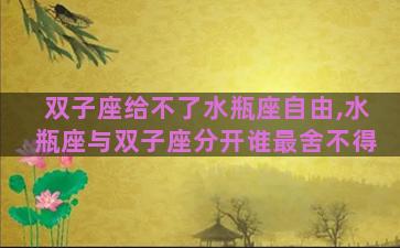 双子座给不了水瓶座自由,水瓶座与双子座分开谁最舍不得