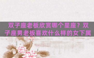 双子座老板欣赏哪个星座？双子座男老板喜欢什么样的女下属